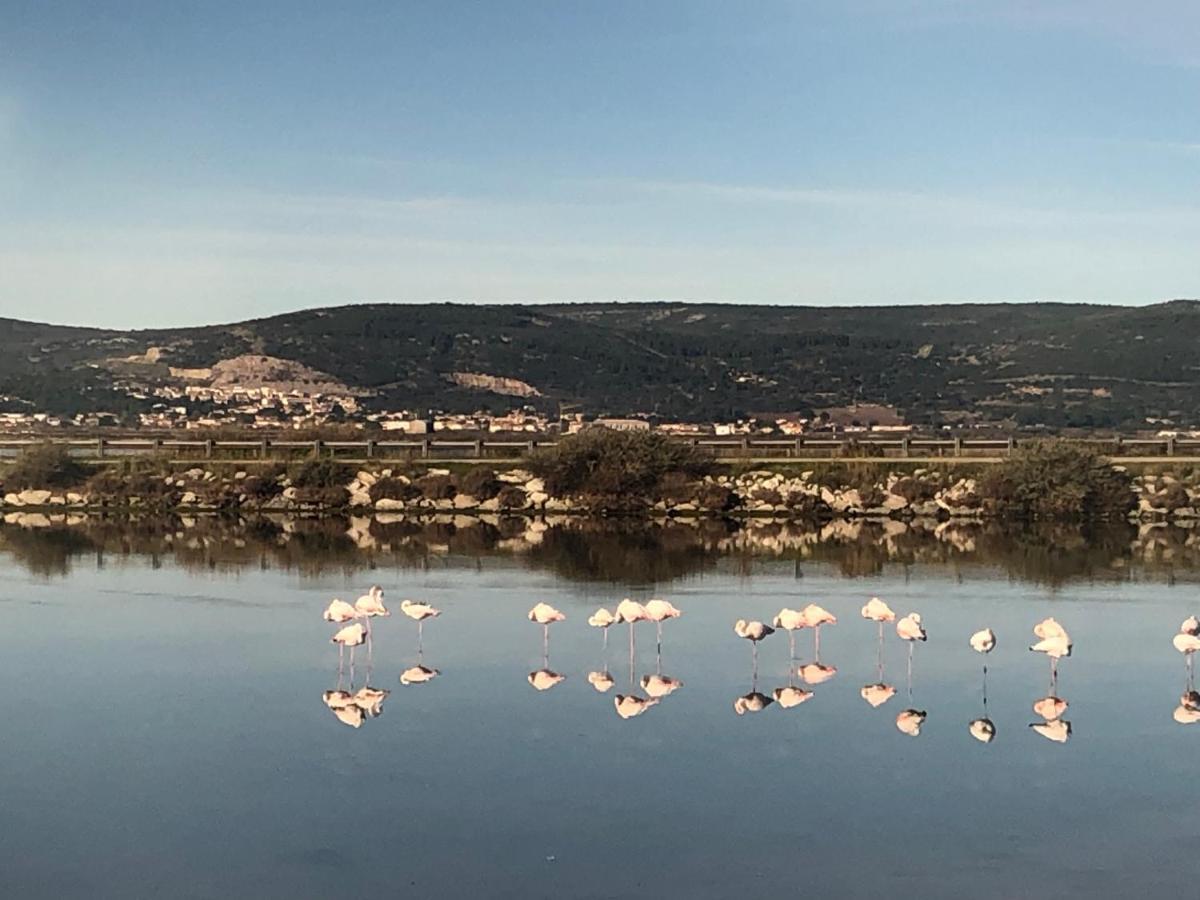 Flamants Roses 1 Pers 6 Frontignan Exterior photo
